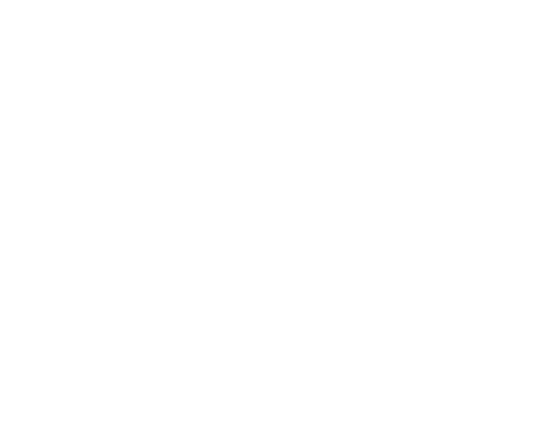 BROTHER_logo