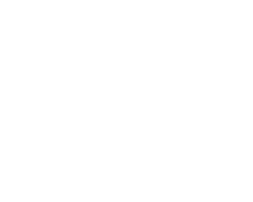 ZEBRA_logo