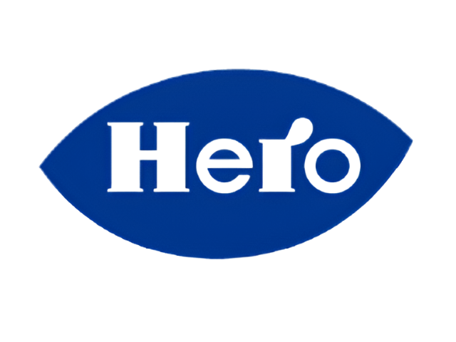 logo hero